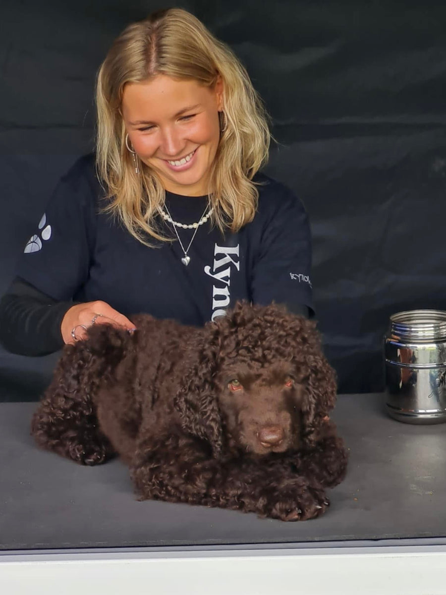 Katrine Fiilsøe Hansen