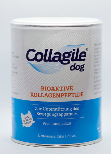 Collagile Dog